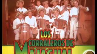 LOS CORRALEROS DE MAJAGUAL LA YERBITA [upl. by Yrok135]