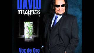 David MarezSoy Un Romantico [upl. by Barrus]