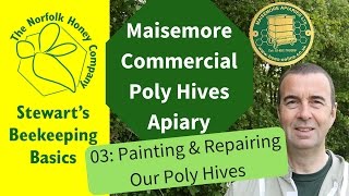 Painting Maisemore Poly Hives [upl. by Merwin]