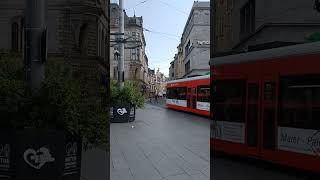 Marktplatz in Halle  Saale  Germany [upl. by Fishman]