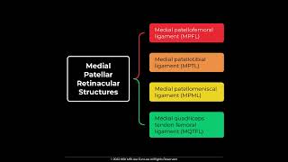 MPFL Medial Patellofemoral Ligament Anatomy MSKMRI JLEE [upl. by Garin]