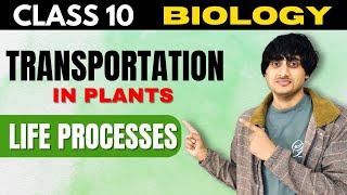 Transportation in Plants Class 10 Life Processes  ncert covered in detail  board exams 202425 [upl. by Aglo732]