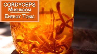 Cordyceps Mushroom Benefits as an Energy Tonic [upl. by Eisler572]