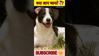 कुत्ता Dog Fact about Dog dog dogs shorts trending [upl. by Dollie850]