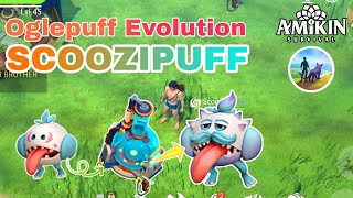 😲 AMIKIN SURVIVAL  OGLEPUFF EVO SCOOZIPUFF 😱  All 2nd EVO COLLECTION  60 [upl. by Trocki870]