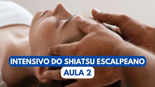 307 INTENSIVO DO SHIATSU ESCALPEANO  AULA 2 [upl. by Aihsotal]