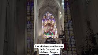 LAS VIDRIERAS MEDIEVALES DE LA CATEDRAL DE MALINAS Bélgica [upl. by Ahsilef]