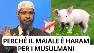 Perché i musulmani non mangiano la carne di maiale Risposta di Zakir Naik in italiano zakirnaik [upl. by Geraint269]