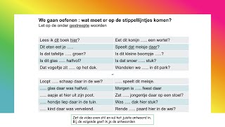 Dit Dat Deze of Die deel 1 A1  A2 [upl. by Erlene]