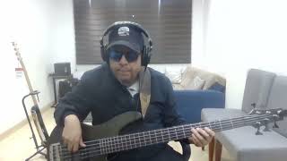 Bass Cover  Cherry Pie  Live San Diego  Sade [upl. by Aicert]