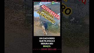 AUTODEFESA DE MORDIDA DE CACHORRO NO BRAÇO  O QUE FAZER SE UM CACHORRO DA RUA MORDE SEU BRAÇO [upl. by Rafaello]