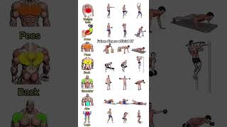 Workout Mix at gym motivation backworout backexcercise gymworkoutshoulder exercise [upl. by Accebber]