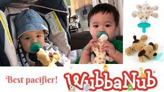 Best Infant Pacifier  WubbaNub Infant Pacifier [upl. by Armelda]