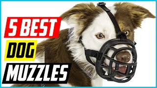 Best Dog Muzzles 2021 Top 5 Picks [upl. by Ettenil]