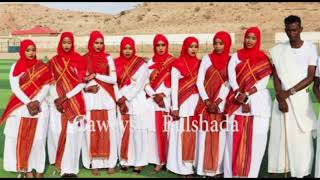 Dhaanto Cusub Abwaan Fanoog 2019 [upl. by Anirdua]