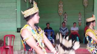 tarian dayak kenyah long ampung [upl. by Neladgam]