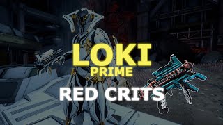 Warframe Loki Prime Build e Guia  NUKE DE RED CRITS COM A SECUNDÁRIA [upl. by Klayman658]