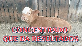 CONCENTRADO PARA BECERROS DE LECHE  SI FUNCIONA 🤠👍🏻 [upl. by Ynahirb]