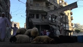 I musulmani di Aleppo festeggiano lEid la Festa del Sacrificio [upl. by Paryavi]