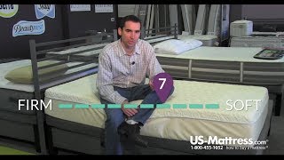 TEMPURCloud Supreme Breeze Mattress Expert Review [upl. by Philis]