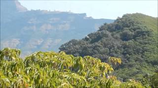 Rajgad Torna Fort Trek  Trail [upl. by Bushore]