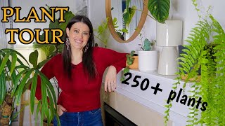 Full Houseplant Home Tour  250 Plants  My Entire Plant Collection [upl. by Llehcam209]