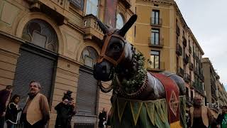 450Mulassa Cercavila de Mulasses per Santa Eulàlia  Gegants I [upl. by Birecree]