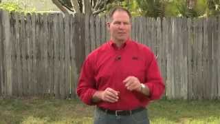 How To Stop Lawn Weeds  Ace Hardware [upl. by Anola]