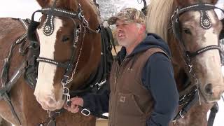 Horses pull semitruck up icy hill in Mabel Minnesota [upl. by Nuoras699]