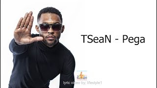 TSeaN  Pega lyrics [upl. by Esoryram100]