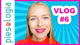 Vlog 6 Wakacje z psem nad morzem ⛱️ Pakowanie ☀️ Reakcja Hakera na morze [upl. by Gaynor]