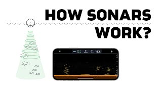 Everything You Need to Know About How Sonars Work [upl. by Yruama]