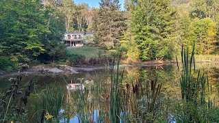 Baignade dans les Laurentides ♥️♥️♥️ [upl. by Lednik]