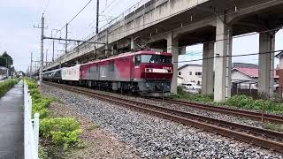 EH50031号機 ロイヤルエクスプレス甲種輸送汽笛付き [upl. by Johann503]