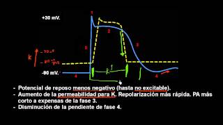 CURSO DE ELECTROCARDIOGRAFIA 62  HIPERKALEMIA Y POTENCIAL DE ACCIÓN [upl. by Colis]