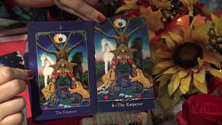 The Star Tarot  Comparing 1st amp 2nd Edition and Flip Through of Each Version [upl. by Godewyn646]