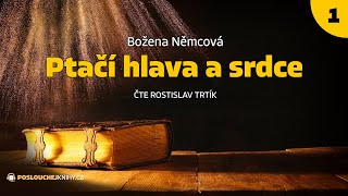 Božena Němcová Ptačí hlava a srdce 14 [upl. by Zach]