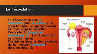 BAC Tunisie  La procreation  درس مهم جدا للتمكن من علوم الحياة و الأرض [upl. by Launam]