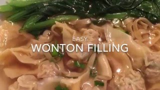 Easy Wonton Filling [upl. by Annwahs]