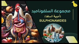 مجموعه السلفوناميد ادويه السلفا SULPHONAMIDES [upl. by Sirovart]