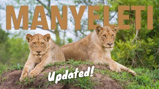 Manyeleti Game Reserve  UPDATED The Lowvelds bestkept secret [upl. by Shelah]