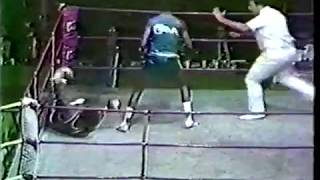 Teofilo Stevenson vs Michael Dokes [upl. by Fraya]