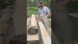 Buzzing Right Through this Spalted Maple Log Chainsaw Milling Logosol F2 chainsawmill sawmill [upl. by Valera]