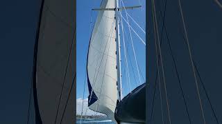 Hallberg Rassy 352 Sailing San Diego Bay [upl. by Aramot]