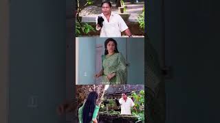 അമ്മാവനോ ആരുടെ അമ്മാവൻ തമ്പി അളിയോ  Manichithrathazhu Comedy Scene  Innocent Comedy [upl. by Ninerb]