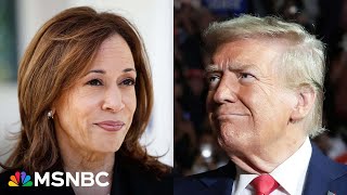 How the Trump and Harris teams are feeling on Election Day [upl. by Aamsa593]