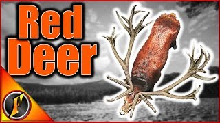 Diamond Red Deer Hunt  theHunter Call of the Wild [upl. by Valene]