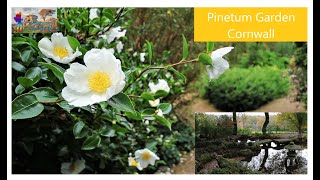 Pinetum Garden Cornwall [upl. by Ellebanna]