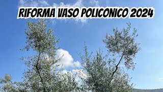 2 Considerazioni sulla Riforma a Vaso Policonico SECONDA PARTE potaturaolivo olive pruning [upl. by Bhatt843]