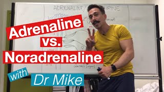 Adrenaline versus Noradrenaline  epinephrine versus Norepinephrine [upl. by Janean224]